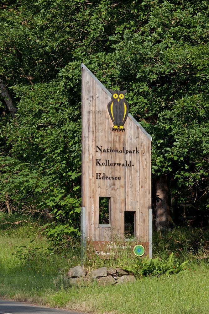 touchlife-massage-ausbildung-Massage-lernen-im-Nationalpark-Kellerwald-Edersee