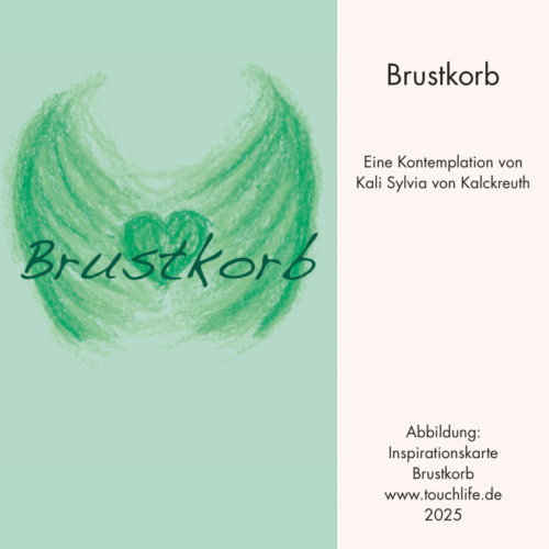 Dein Brustkorb - eine Kontemplation und geleitete Meditation mit Kali Sylvia von Kalckreuth