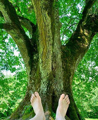 Innehalten in der Natur