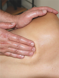 Fortbildung Massage in der Seitenlage Im Rahmen der TouchLife Massage kann auf Wunsch, z.B. in der Schwangerschaft, der Rücken auch in einer Seitenlage massiert werden.